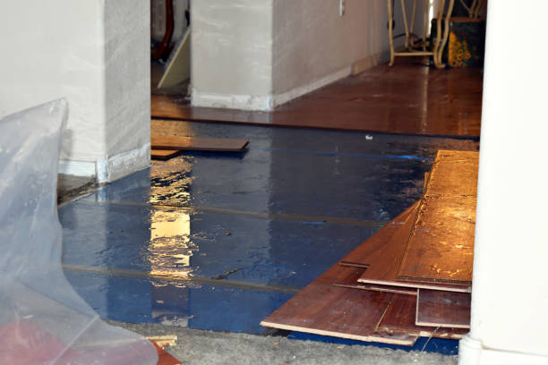 Professional Basement Flooding technician working in Angelus Oaks, CA